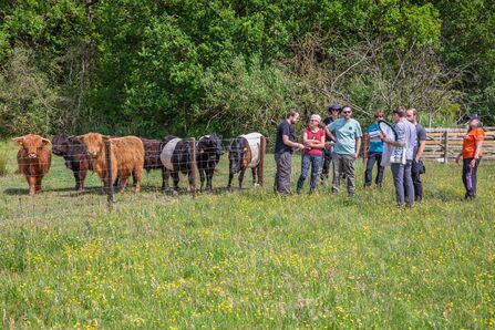 Habitat Restoration Volunteer Training - Simon Tull