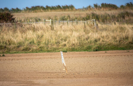The foreground of the photo shows bare and dry soil where water would usually be, the background is yellow grass.