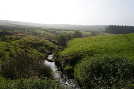 A stream running down a ravine in open moorland