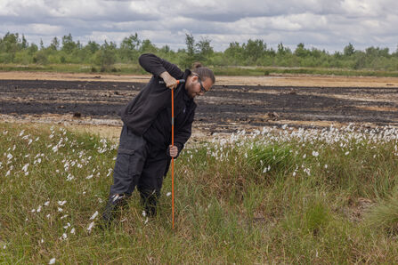A man stands in a grassy field, holding a stick doing a peat depth survey, with a clear sky in the background.