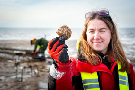 Wilder Humber restoration officer holds native oysters in front of oyster trestles