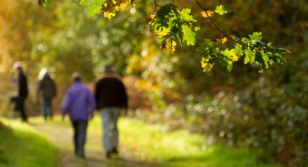 Couple walking down path through woodland