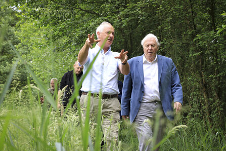 Two older men walk through tall grass in a lush green wooded area, a man on the left gesturing with both hands, while the other man to his right, wearing a blue jacket, looks towards the camera. Other people are walking behind them in the path, surrounded by trees.