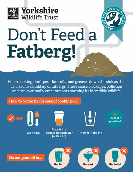 Don't feed a fatberg