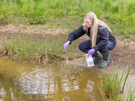 Frances Northern Projects Voluntary Placement - Paul Stephenson