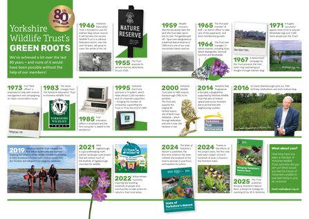 Timeline infographic depicting Yorkshire Wildlife Trust's 80th anniversary with key milestones and achievements from 1946 to 2025, including founding, nature reserve acquisitions, conservation campaigns, and collaborations, featuring historical photos, logos, and snippets of text on a green and white background.