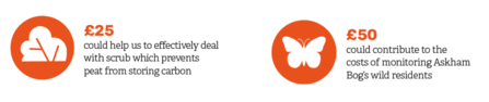 Image with a white background showing two orange circles each containing a white graphic and text. The first circle has an illustration of a tree-like form and the text "£25 could help us to effectively deal with scrub which prevents peat from storing carbon". The second circle has an illustration of a butterfly and the text "£50 could contribute to the costs of monitoring Askham Bog's wild residents."