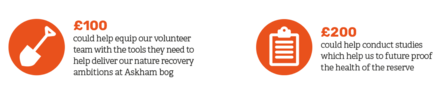 Two orange circles on a white background, the first features a white shovel and the text "£100 could help equip our volunteer team with the tools they need to help deliver our nature recovery ambitions at Askham bog." The second circle features a white clipboard and the text "£200 could help conduct studies which help us to future proof the health of the reserve."