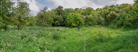 Rifle Butts Nature Reserve - Simon Tull