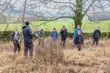 Grass Wood Coppicing Task Day Sara Spillett