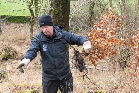 Graham Standring Grass Wood Task Day Coppicing - Sara Spillett