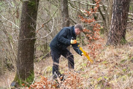 Grass Wood Coppicing Task Day - Sara Spillett