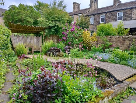 urban wildlife garden