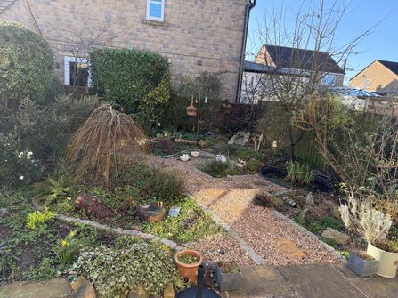 wildlife garden at the back of a house with a path through the middle