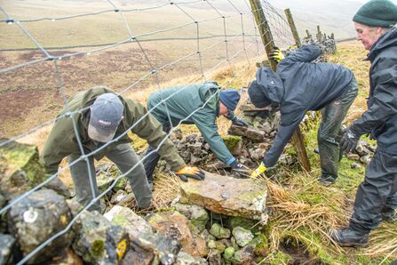Dry stone wall repair, Park Gill - Sara Spillett