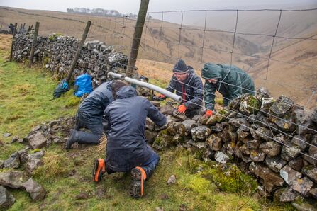 Park Gill Volunteer Task Day - Sara Spillett