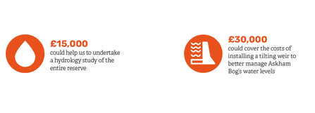 Two orange circular icons with white icons inside and text to their right; The left icon contains a water drop shape, with the text stating £15,000 could help to undertake a hydrology study of the entire reserve; The right icon contains a dam symbol, with the text stating £30,000 could cover the costs of installing a tilting weir to better manage Askham Bog's water levels.