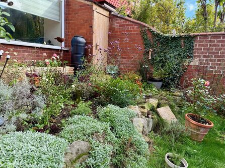 wildlife garden at the front of a house