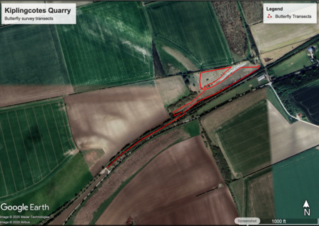 Butterfly transects at Kiplingcotes Quarry. Base Map Google Earth
