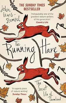 An illustrated book cover of two hares in red colour