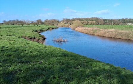 A wide blue river flows through a green, grassy landscape under a bright blue sky.