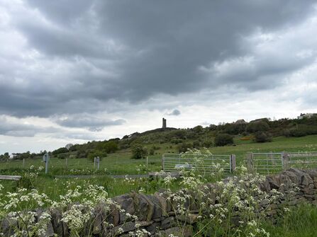 A stone tower stands on a grassy hill under a cloudy sky, with fields, fences, and wildflowers in the foreground.