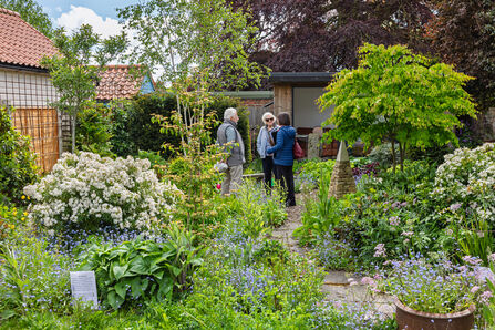 The mix of flower colours attracts a wide range of insects to Caroline’s garden – Simon Tull