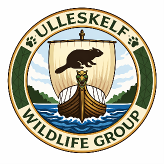 Circular logo for "ULLLESKELFF WILDLIFE GROUP" featuring a Viking longboat with a beaver on its sail, against a backdrop of water, trees, and sky.