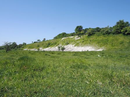 Wide shot of Kiplingcotes Nature Reserve.