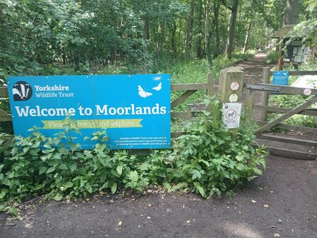 A blue "Yorkshire Wildlife Trust" sign welcomes visitors to "Moorlands" with the phrase "Please come in and explore." It is situated in front of a wooden gate and a path leading into a wooded area.