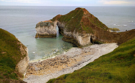 Flamborough Head Nature Reserve - Yorkshire Wildlife Trust