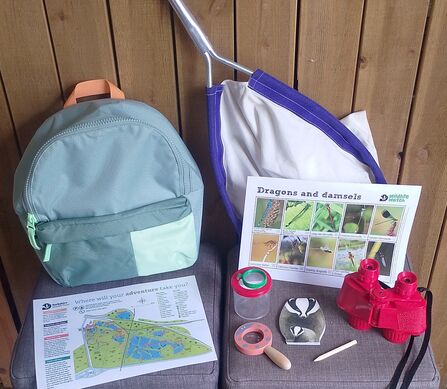 Outdoor adventure kit with a light green backpack, a butterfly net, a "Dragons and damsels" identification chart, a park map, a magnifying glass, a bug viewer, red binoculars, and a wooden pencil on a chair against a wooden wall.