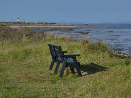 Bench at Spurn Point