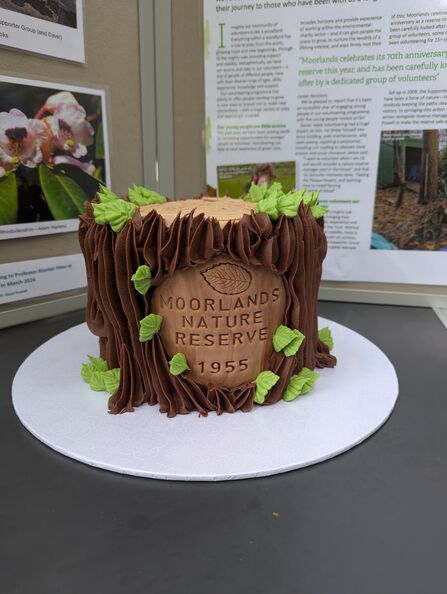 a birthday cake made to look like a tree trunk