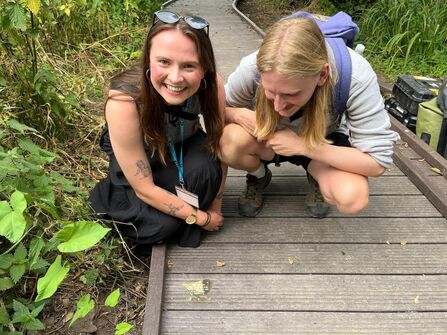 Two people crouch on a wooden boardwalk next to lush green foliage, looking at a plaque