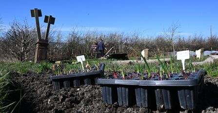 Stirley Gardening Group Plot 2 - Howard Roddie