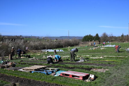 Stirley Garden Volunteer Plot - Howard Roddie