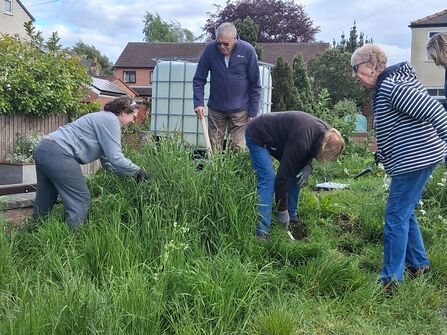 Group of people in a garden clearing overgrown grass, some using shovels.
