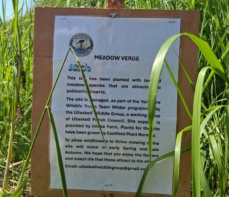 A wooden sign board with text about a meadow verge, surrounded by tall green grass and a bright blue sky.