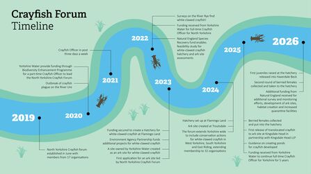 A timeline shaped like a river that shows the journey of Yorkshire Crayfish forum from its creation in 2019 to recent crayfish releases in 2026.