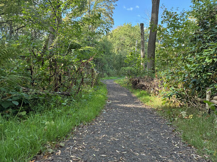 Wide shot of Moorlands Nature Reserve.