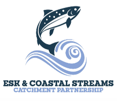 Logo for the Esk & Coastal Streams Catchment Partnership featuring a dark blue salmon leaping over stylized light blue waves, with text below reading "ESK & COASTAL STREAMS CATCHMENT PARTNERSHIP."