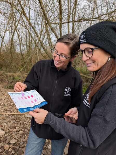 Yorkshire Wildlife Trust staff check water quality test colouring against colour chart