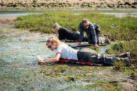 3 women lay on body boards on the seagrass meadow, picking seeds