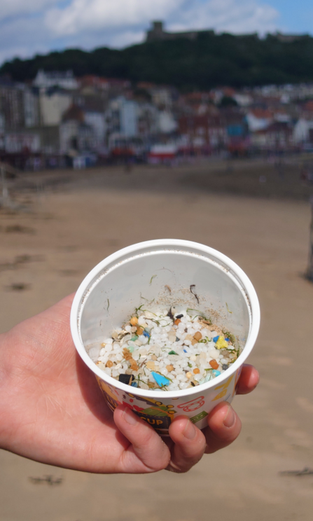 hand holding a tub of nurdles found on a beach clean