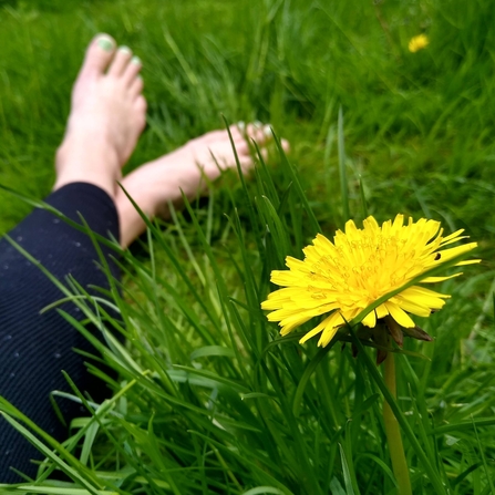 A person relaxing in the long grass in their garden. A dandelion takes up the foreground of the shot.