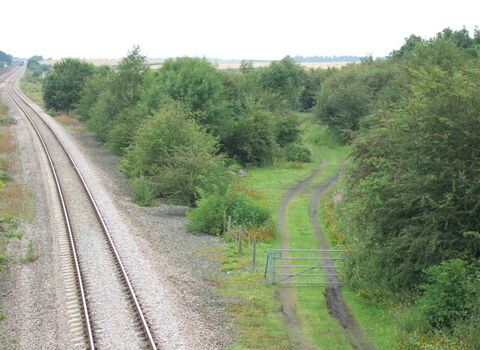 Bolton Percy Nature Reserve - Nabil Abbas
