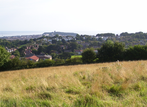 View towards Scarborough Castle - Harland Mount Nature Reserve - Elizabeth Round