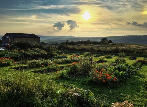 View over Stirley Community Farm Credit T Doherty