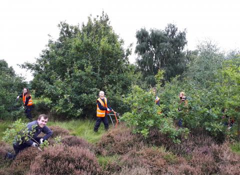 South TNLS working at Doncaster Common